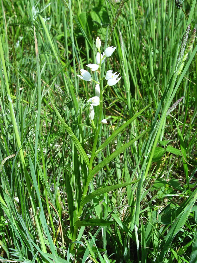 Click to view full size image