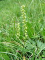 162_22_01bc_grban_2009_07090029.jpg