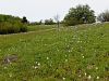 Filename=157_04_01aca_narcis_beli_Narcissus_poeticus_subsp__poeticus_IMG_3325a.jpg
Filesize=298KB
Dimensions=900x675
Date added=Jun 06, 2023 157_04_01aca_narcis_beli_Narcissus_poeticus_subsp__poeticus_IMG_3325a.jpg
