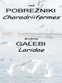 Filename=390a_galebi_Laridae.jpg
Filesize=131KB
Dimensions=675x900
Date added=Dec 18, 2008 390a_galebi_Laridae.jpg