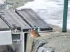 Filename=521ah_vodomec_Alcedo_atthis_2015_01070025a.jpg
Filesize=240KB
Dimensions=900x675
Date added=Mar 14, 2015 521ah_vodomec_Alcedo_atthis_2015_01070025a.jpg