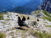 799ca_kavka_planinska_Pyrrhocorax_graculus_IMG_2127aa.jpg