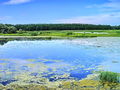 Filename=b_voda_lagune_Ormoz_e_DSC01642aa.jpg
Filesize=315KB
Dimensions=900x675
Date added=Dec 27, 2009 b_voda_lagune_Ormoz_e_DSC01642aa.jpg