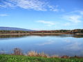 Filename=b_voda_ribnik_zadrzevalnik_vode_Race_Pozeg_a_2009_11130004.jpg
Filesize=174KB
Dimensions=900x675
Date added=Dec 25, 2009 b_voda_ribnik_zadrzevalnik_vode_Race_Pozeg_a_2009_11130004.jpg