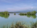 Filename=b_voda_ribnik_zadrzevalnik_vode_Sestrze_c_DSC01841.jpg
Filesize=226KB
Dimensions=900x675
Date added=Dec 25, 2009 b_voda_ribnik_zadrzevalnik_vode_Sestrze_c_DSC01841.jpg
