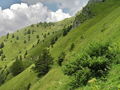 Filename=c_gore_Porezen_b_DSC03546.jpg
Filesize=296KB
Dimensions=900x675
Date added=Nov 27, 2009 c_gore_Porezen_b_DSC03546.jpg