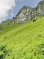 Filename=c_gore_Porezen_c_DSC03547.jpg
Filesize=343KB
Dimensions=675x900
Date added=Nov 27, 2009 c_gore_Porezen_c_DSC03547.jpg