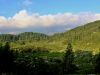 Filename=c_gore_planina_Blato_a_IMG_8106.JPG
Filesize=350KB
Dimensions=900x675
Date added=Dec 15, 2017 c_gore_planina_Blato_a_IMG_8106.JPG