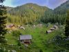 Filename=c_gore_planina_Blato_b_IMG_8105.JPG
Filesize=487KB
Dimensions=900x675
Date added=Dec 15, 2017 c_gore_planina_Blato_b_IMG_8105.JPG