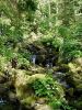 c_voda_slap_Soteska_c_DSC09856.JPG