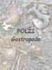 Filename=polz_00_1.jpg
Filesize=183KB
Dimensions=675x900
Date added=Jun 21, 2020 polz_00_1.jpg